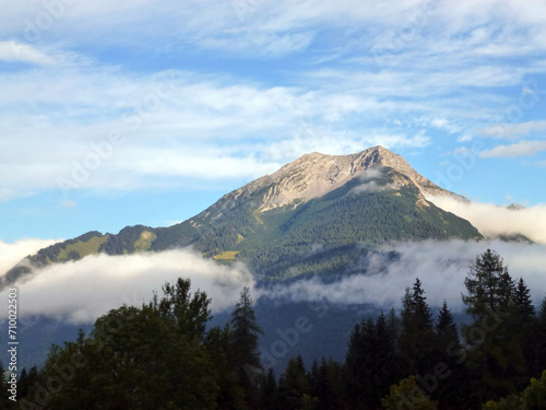 In the background  a mountain peak is covered with clouds and forest. In the foreground are the upper parts of thick trees