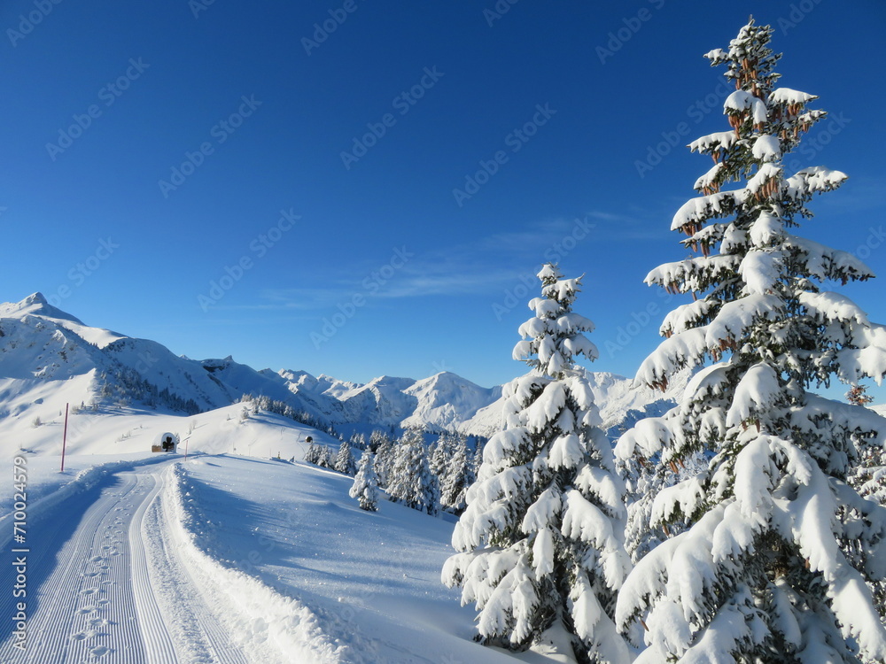 Winterlangschaft in den Bergen