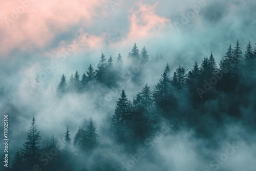 clouds over the mountains, misty forest © reddish