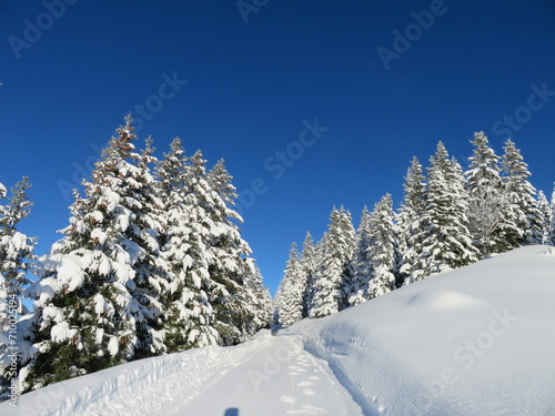 Winterlandschaft am Neunerköpfle Tannheim
