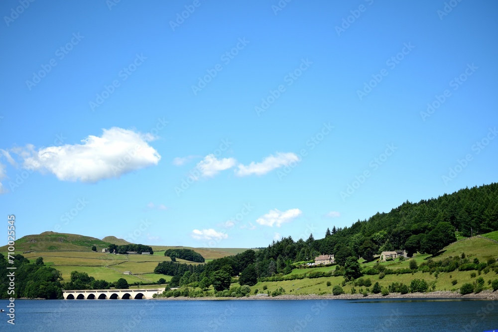 lake and forest