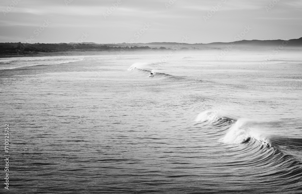 Ocean Surfing Black and White