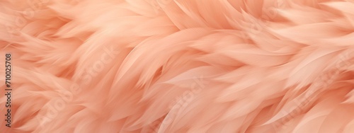 Abstract texture of peach fuzz color colored feathers background banner wallpaper long wide