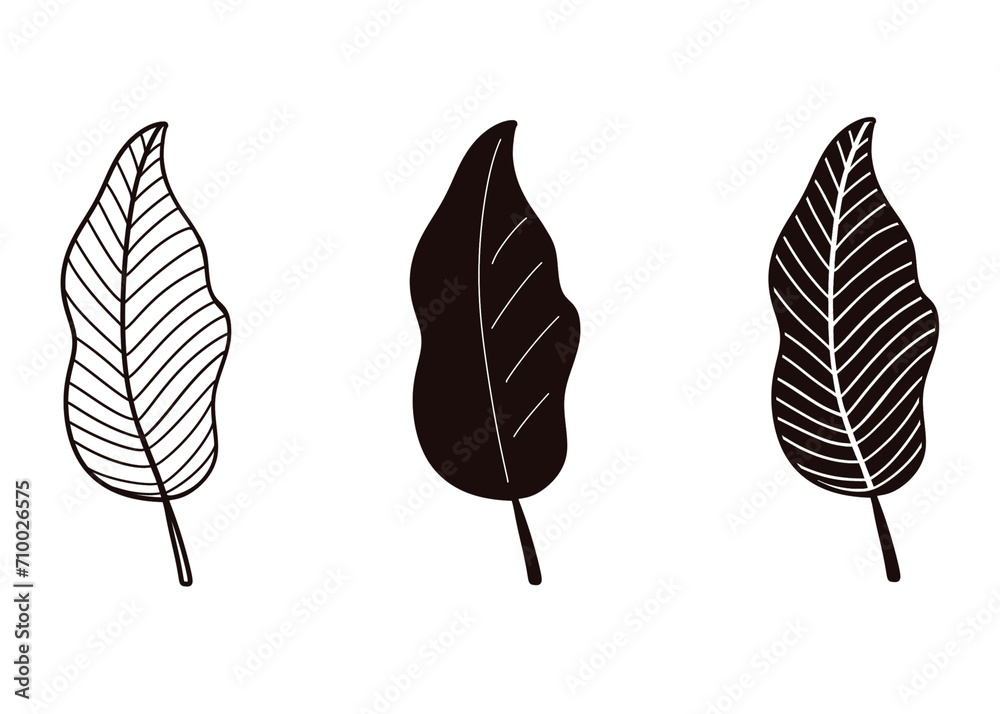 Set of black silhouettes of leaves, Black outline illustrations isolated on transparent background Set of black silhouettes of leaves, Black outline illustrations isolated on transparent background