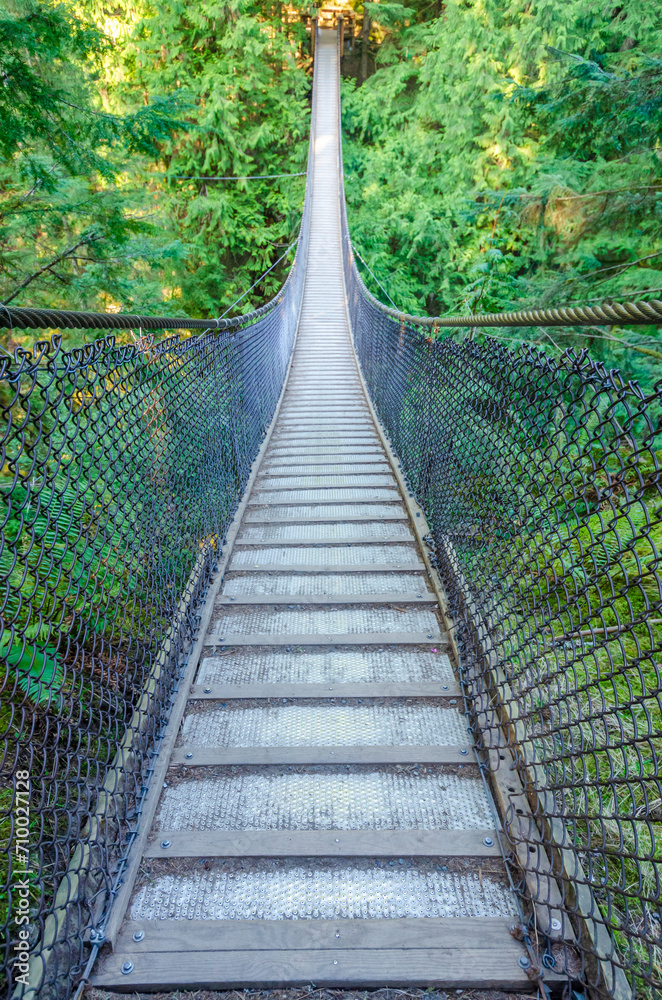 Obraz premium Trail in Park with Wooden Path on Fall in Vancouver, Canada.