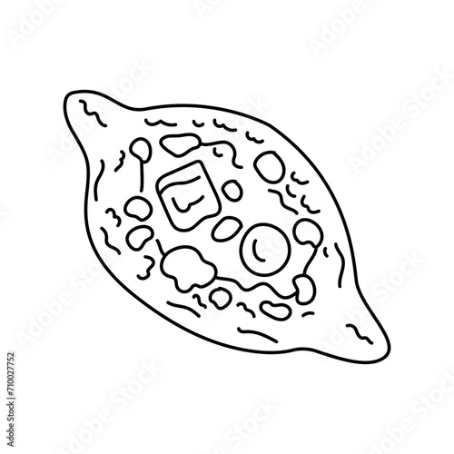 Georgian national dish Khachapuri color element. Cartoon street food.