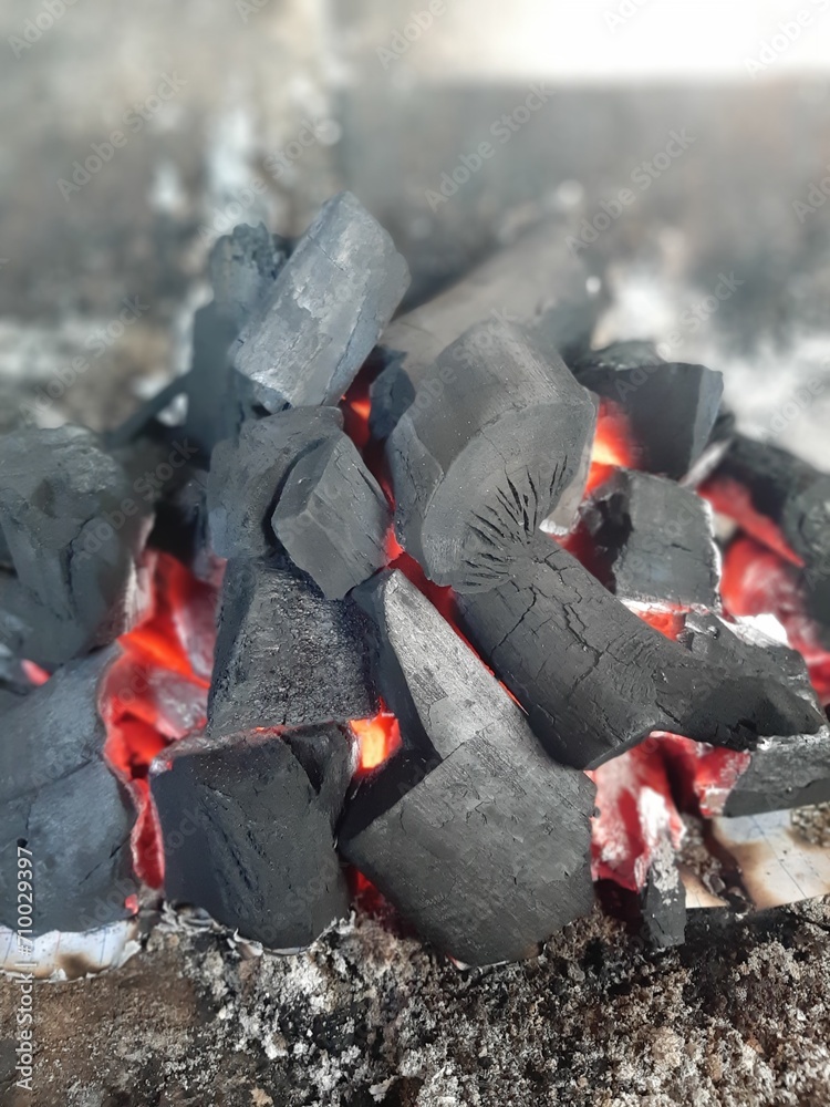 barbecue on the fire