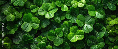 Nature's lush carpet; a dense clover field thrives, each leaf a symbol of luck in a vibrant sea of green vitality