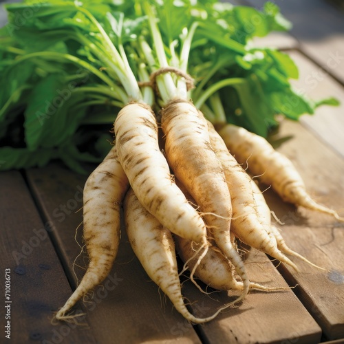 Juxi Root A lumpy, tuberous root that some swear grows to resemble a pig, juxi root is prized by the culinarily conscious. Eaten raw, this tuber has a crisp, sweet flavor, but chefs the world over dry