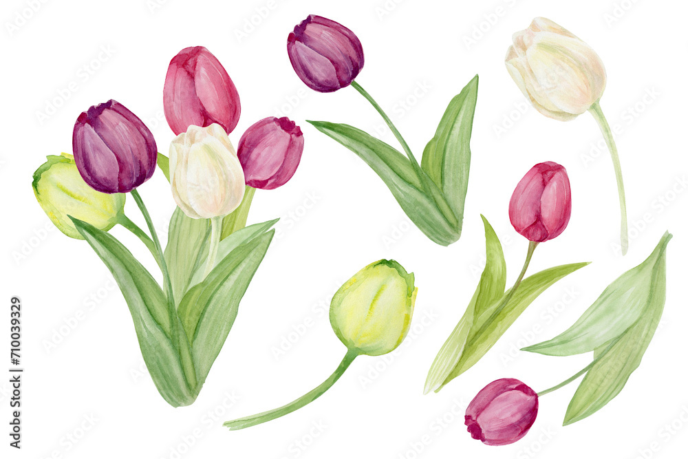 Obraz premium set tulips 1