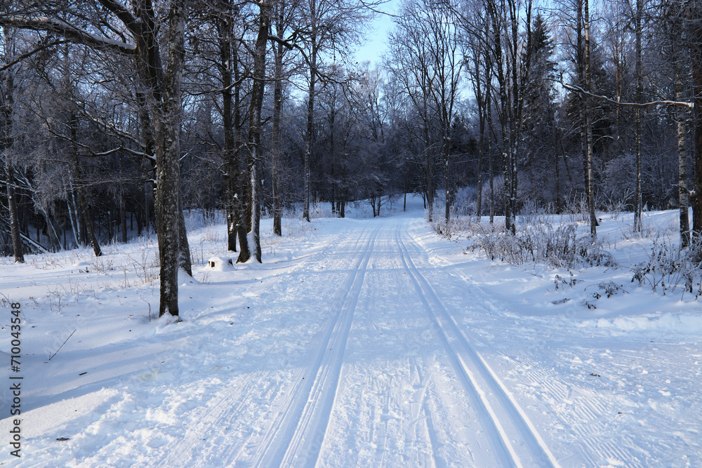 Obraz premium Winter