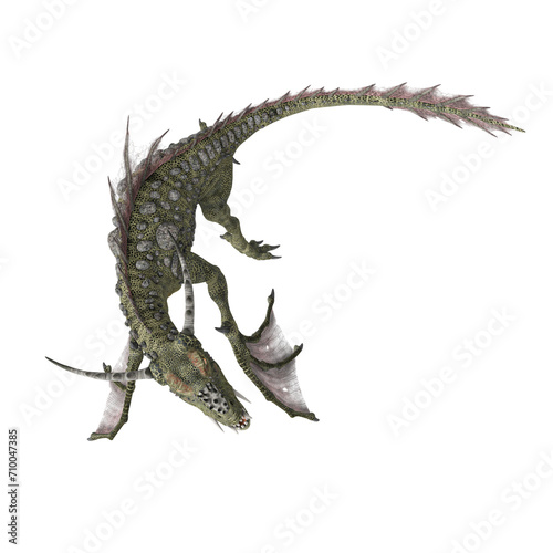 water dragon is turning around on white background in top view