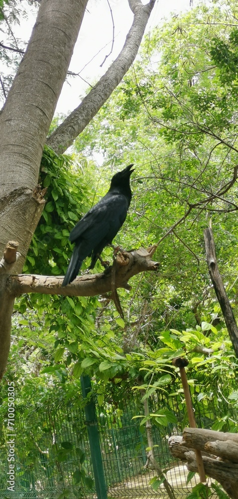 Fototapeta premium Lanscapes