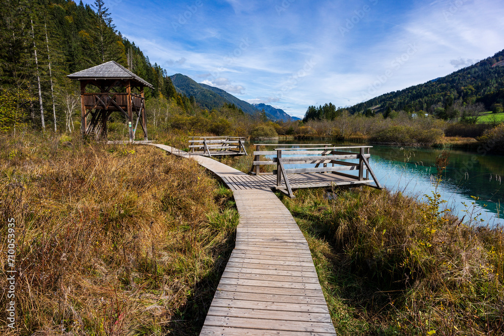 Zelenci Nature Reserve, Drni Swamp, Triglav National Park, Julian alps. Slovenia, Central Europe,