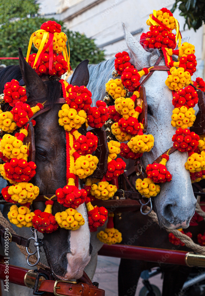 dos cabezas de caballo uno blanco y otro marrón adornados para acudir a la feria en el sur de España, en Andalucía