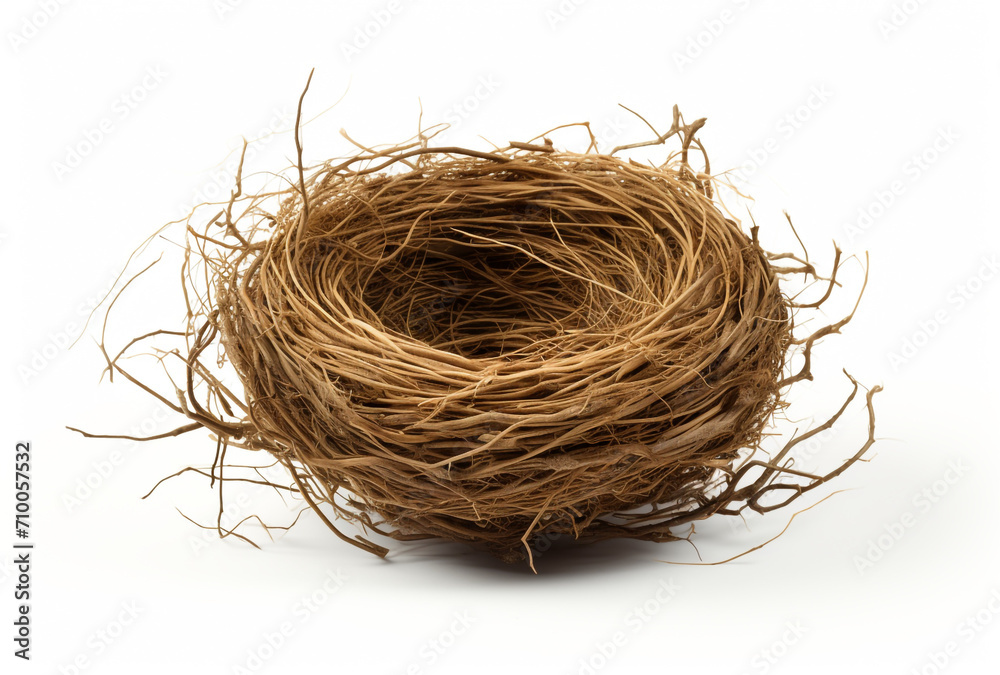 Obraz premium a birds nest is shown on a white background, in the style of tumblewave created with Generative Ai