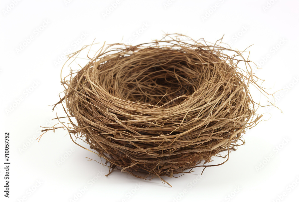 Obraz premium a birds nest is shown on a white background, in the style of tumblewave created with Generative Ai