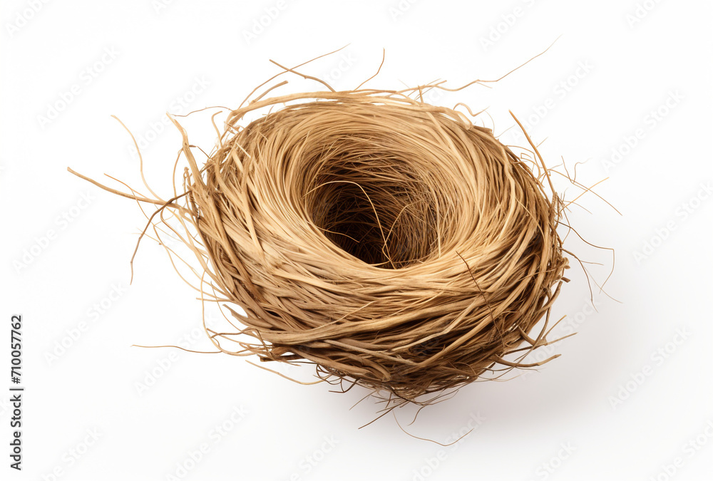 Obraz premium a birds nest is shown on a white background, in the style of tumblewave created with Generative Ai