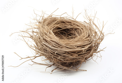 a birds nest is shown on a white background, in the style of tumblewave created with Generative Ai
