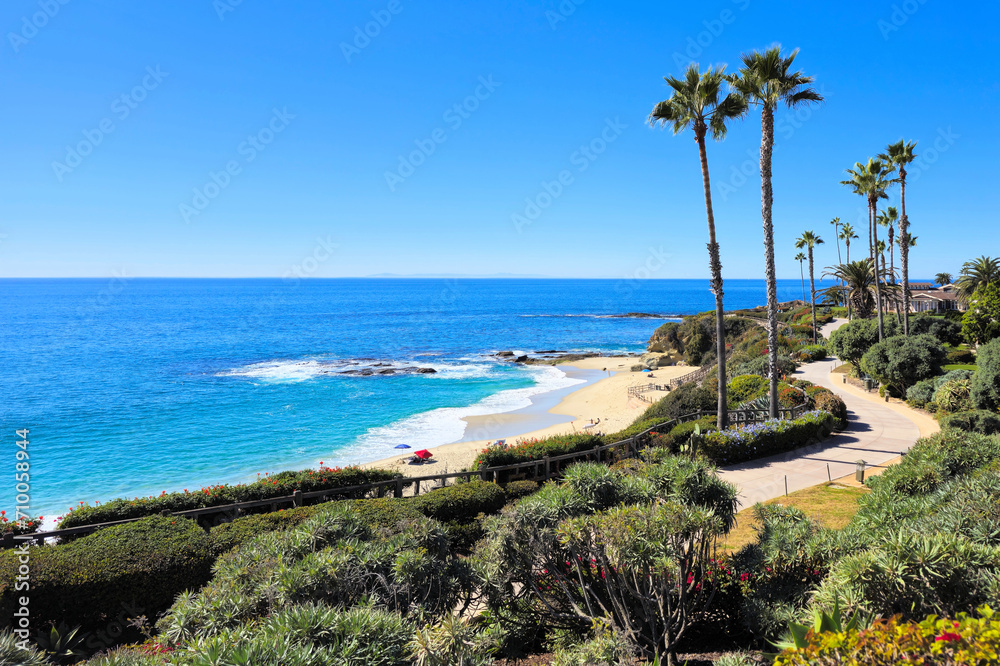 Laguna Beach ocean shoreline with palm trees at Treasure Island Park, California, USA