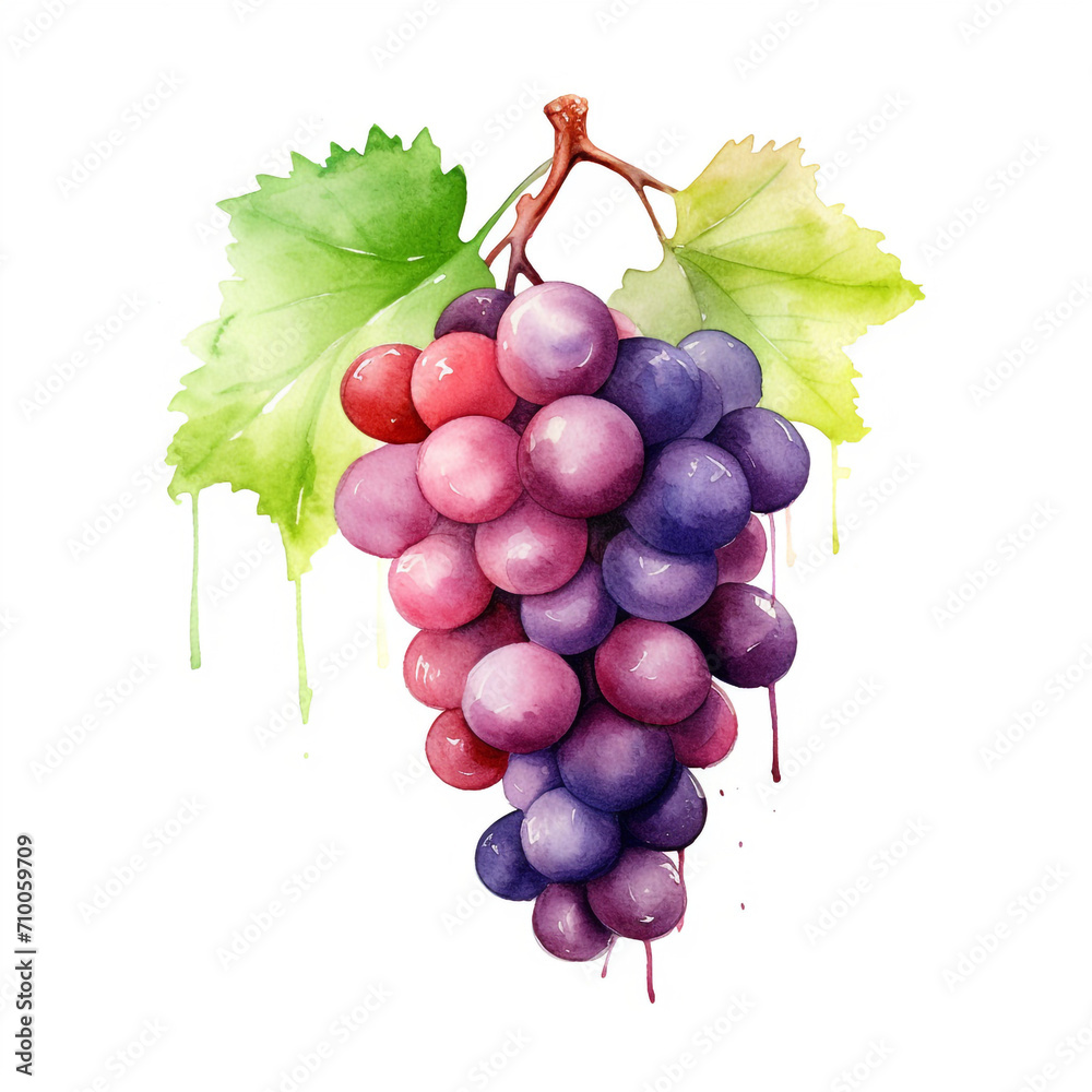 Fototapeta premium image of a grapes with an artistic watercolour style, isolated white background created with Generative Ai