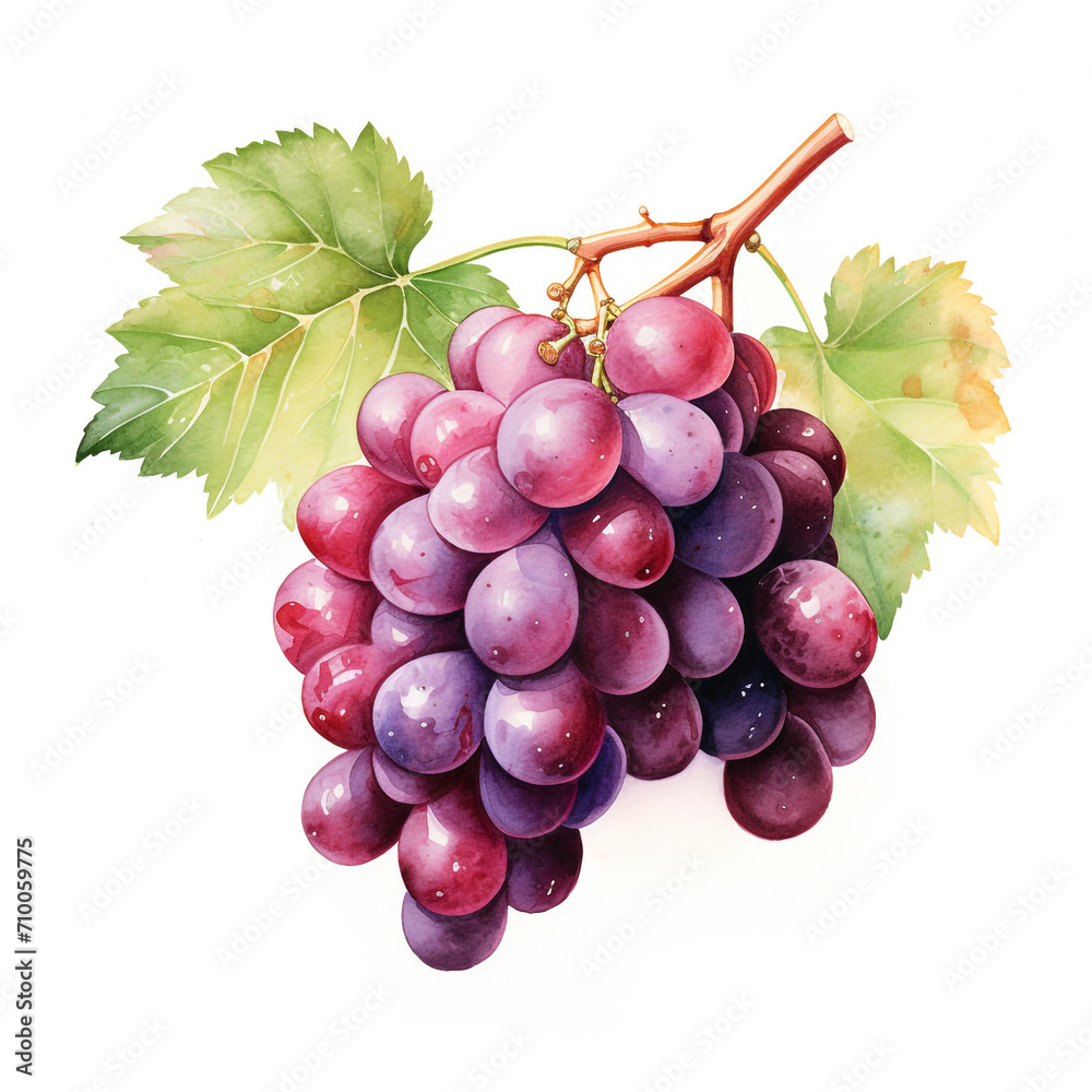 Fototapeta premium image of a grapes with an artistic watercolour style, isolated white background created with Generative Ai