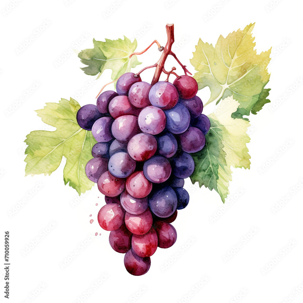 Fototapeta premium image of a grapes with an artistic watercolour style, isolated white background created with Generative Ai