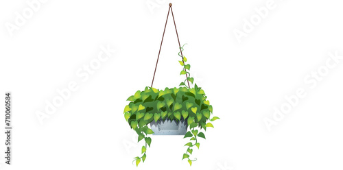 Potted Plant With Green Leaves Hanging From a Rope Vector Illustration.