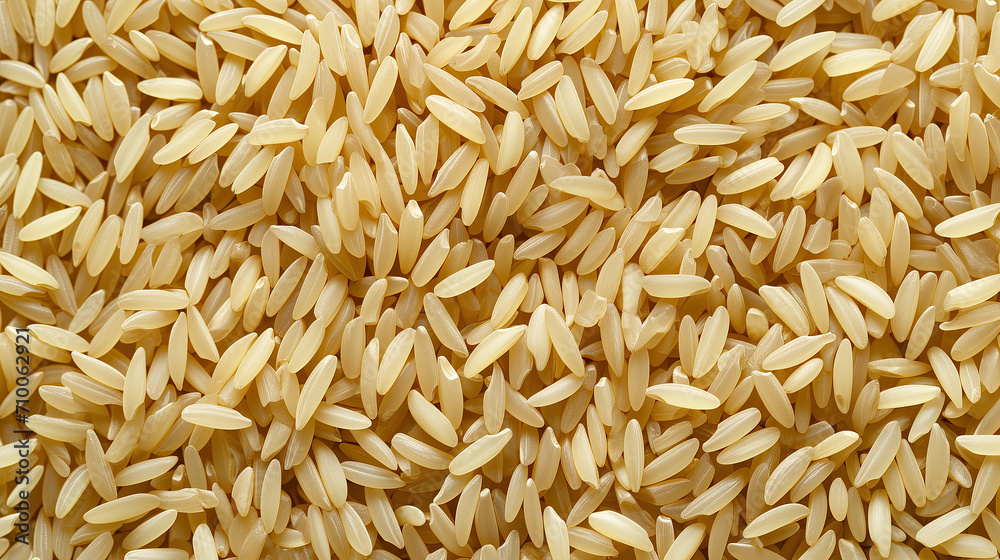 raw rice raw rice