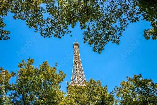 Top of the Eiffel Tower seen between the leaves of trees on a summer day in Paris, France © JeanLuc Ichard