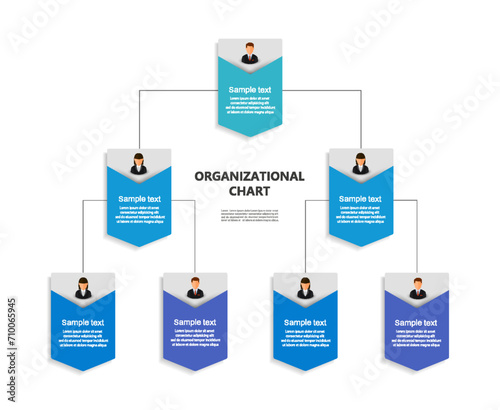 Corporate organizational chart with business avatar icons. Business hierarchy infographic elements. Vector illustration 