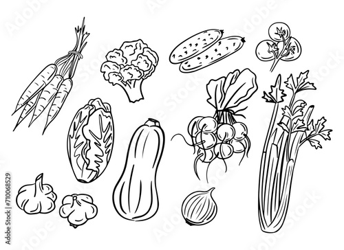 Spring vegetables. Hand drawn doodle set. Sketchy black outline popular veggies on white background. Ideal for coloring pages, tattoo, pattern
