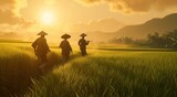 three men walking along the rice field at sunrise
