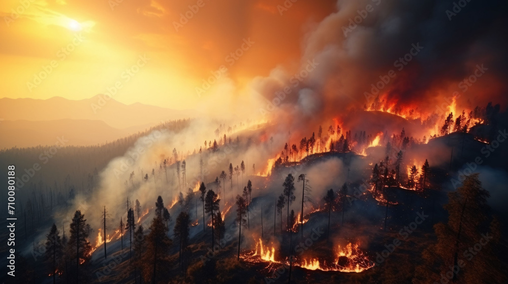 Forest fire in progress. Composite with different elements 