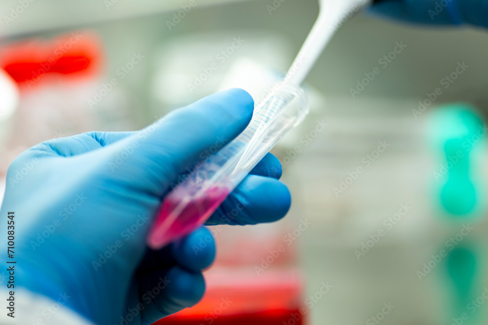 cell culture at the medicine medical and cell culture laboratory cell culture at the medicine medical and cell culture laboratory