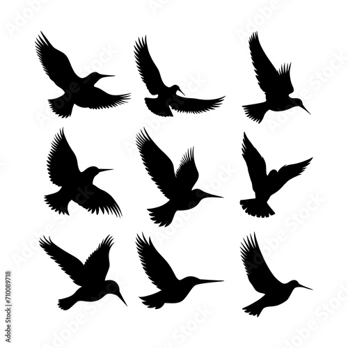 vector birds silhouettes collection white background