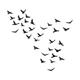 Vector a flock of flying silhouette birds vector illustration
