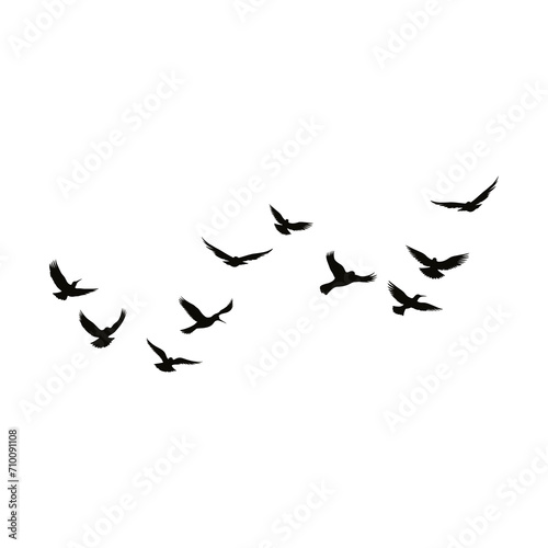 Vector a flock of flying silhouette birds vector illustration photo
