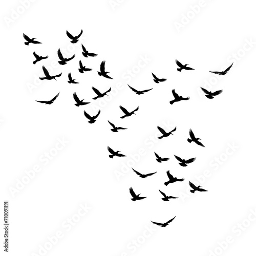 Vector a flock of flying silhouette birds vector illustration © Royokta