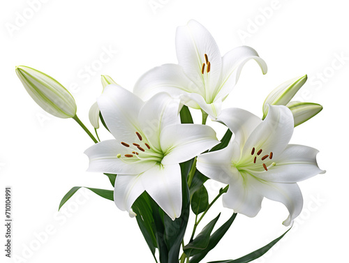 a group of white flowers © TONSTOCK