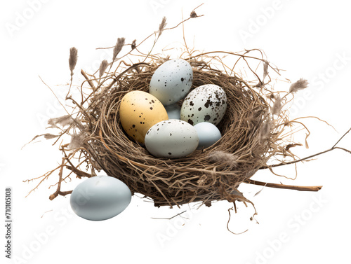 a nest with eggs in it