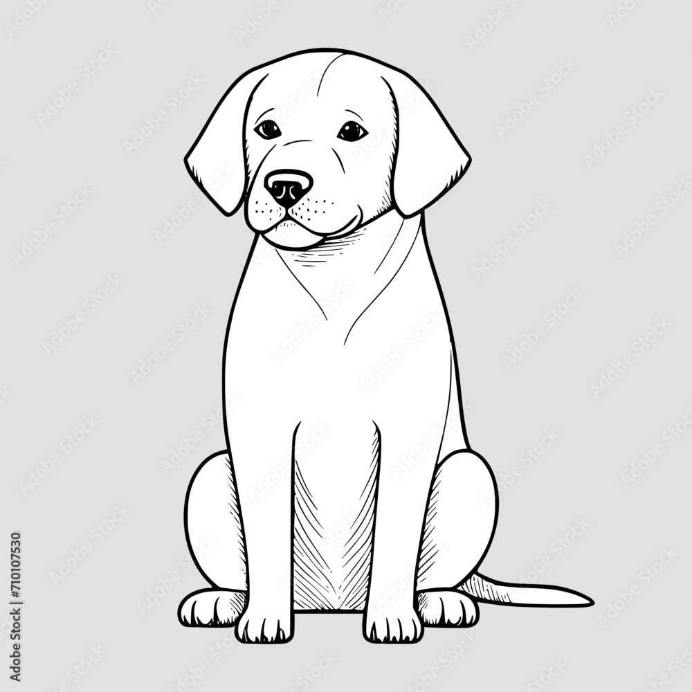 Cute dog vector black and white cartoon character design collection. White background. Pets, Animals. Cute dog vector black and white cartoon character design collection. White background. Pets, Animals.