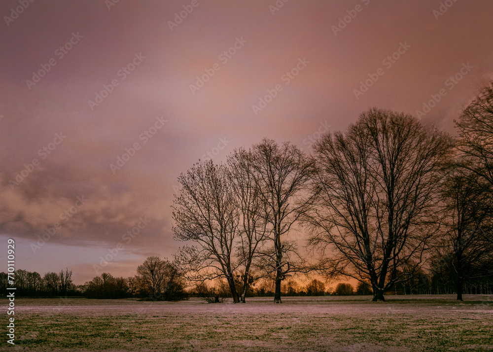 Fototapeta premium Schloss Favorite Kuppenheim Rastatt