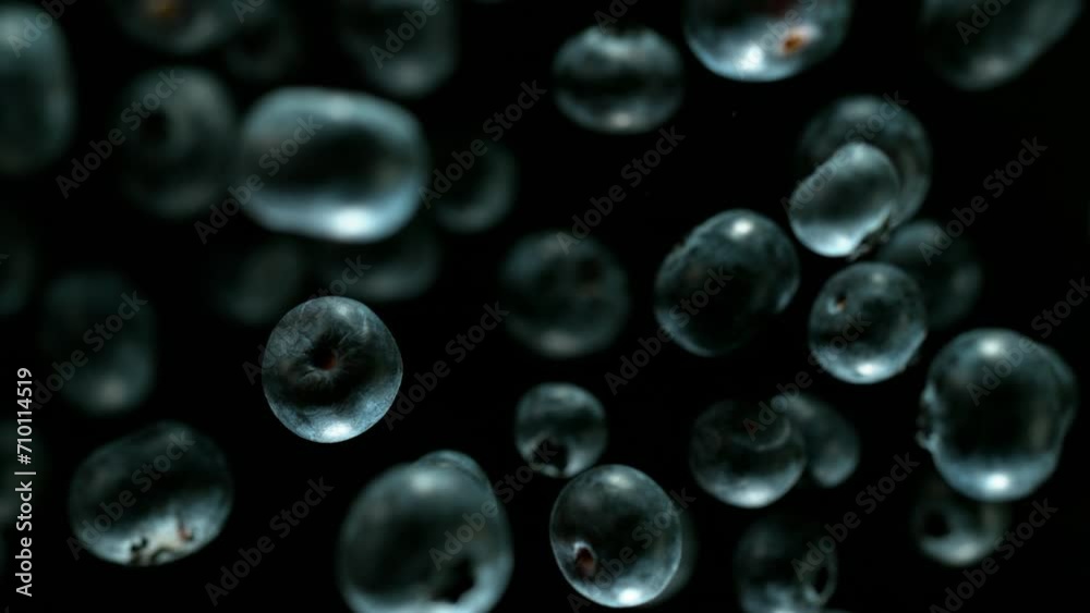 Super Slow Motion of Blueberries Isolated on Black Background. Filmed on High Speed Cinema Camera, 1000 fps. Speed Ramp Effect.
