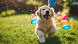 golden retriever running A happy golden retriever puppy caught mid shake after a playful water fight, with colorful water balloons