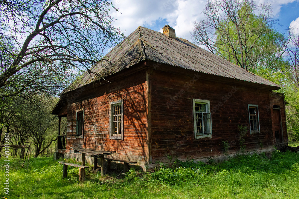 Obraz premium The image shows an old wooden house with a chimney, surrounded by green grass and trees under a blue sky.