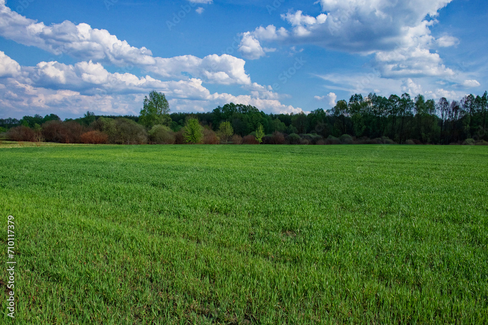 The image shows an expansive green meadow, trees in the distance and a blue sky above. The image shows an expansive green meadow, trees in the distance and a blue sky above.