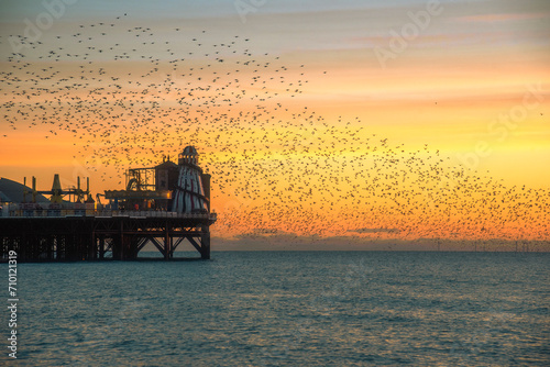 The Starling Murmuration over Brighton Pier at Dusk © SarahLouise