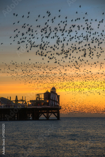 The Starling Murmuration over Brighton Pier at Dusk