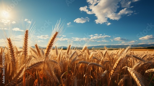 Harvest time. A farmers field ready for harvest. AI generate illustration